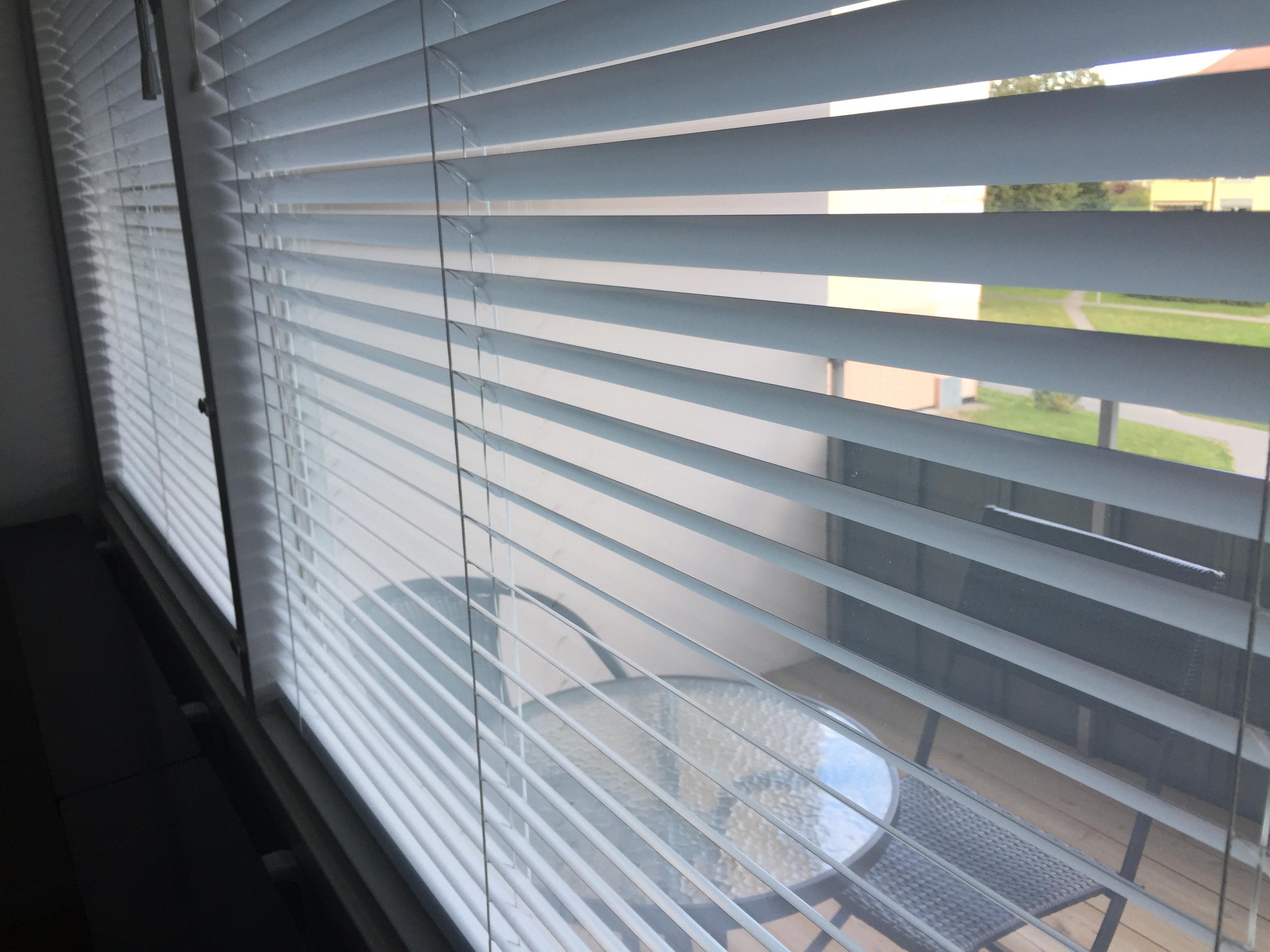 blinds image